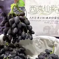 玫栀 西凉仙紫黑提蓝宝石新鲜现摘无籽黑葡萄毛6斤礼盒装  顺/京