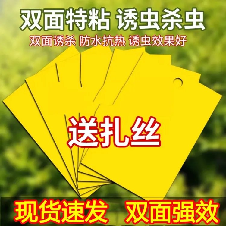 【不沾包退】黄板双面粘虫板蓟马纸贴黄蓝飞虫小黑飞果园沾果蝇诱