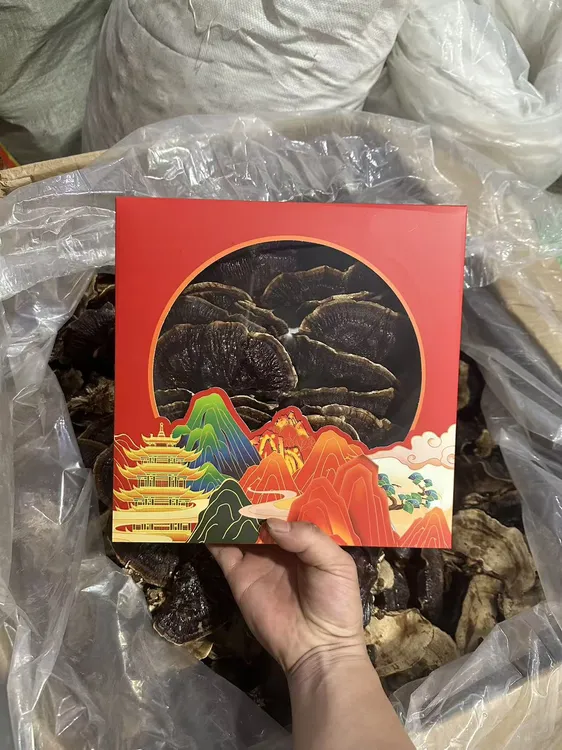 娟姐长白山大金边菌菇一盒350克