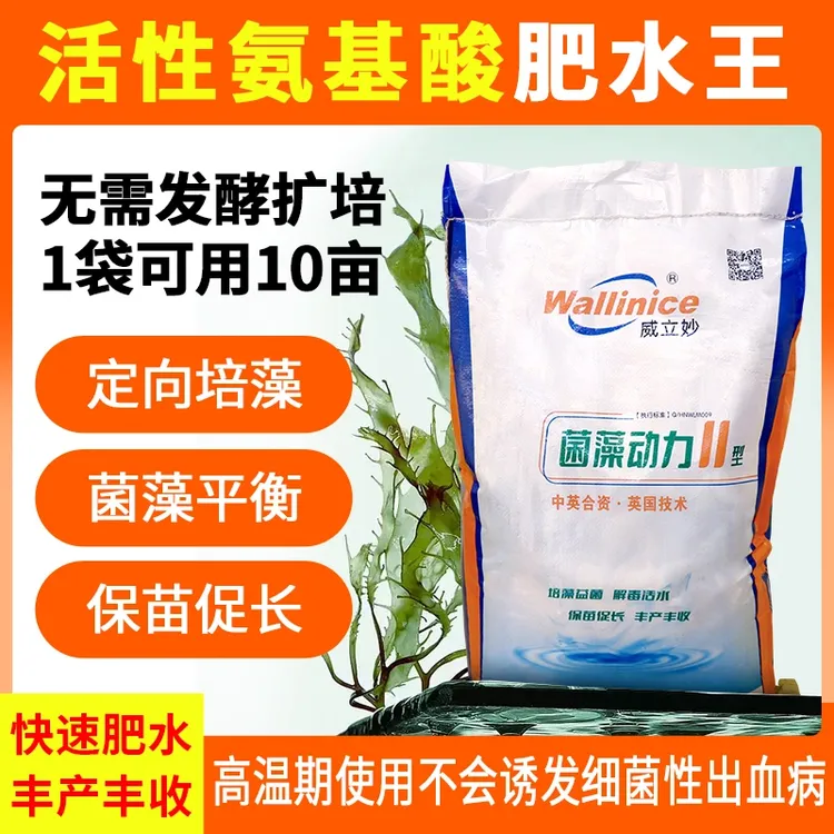 菌藻动力II袋装  稳定水质定向培育硅藻和绿藻大水面养殖花白鲢