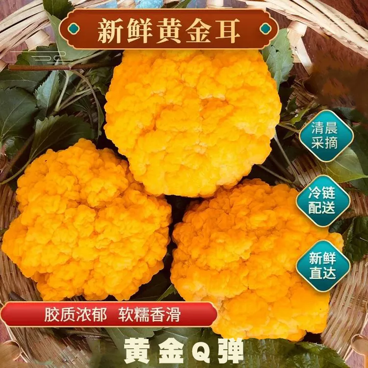 豪媳妇（高山新鲜金耳菌）精选黄金菌刺身山珍银耳顺丰包邮