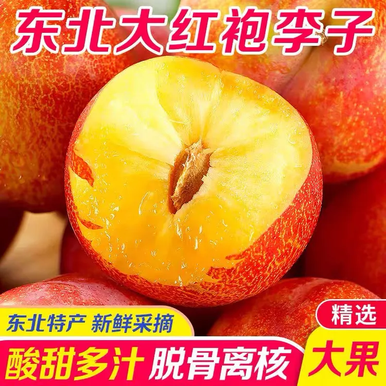 新鲜东北大红袍李子酸甜可口皮酸肉甜当季孕妇水果脱骨李