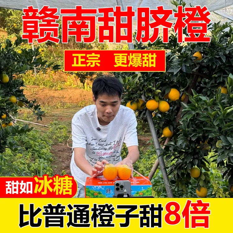 【正宗】江西赣南脐橙孕妇水果源头价现摘应季脐橙果园直发橙子新鲜
