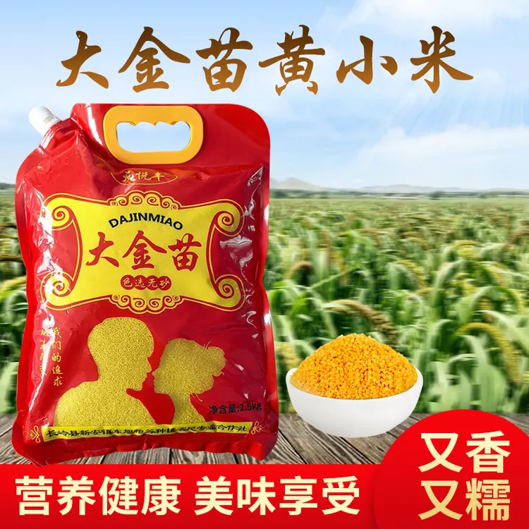 天悦丰大金苗内蒙粘糯黄小米