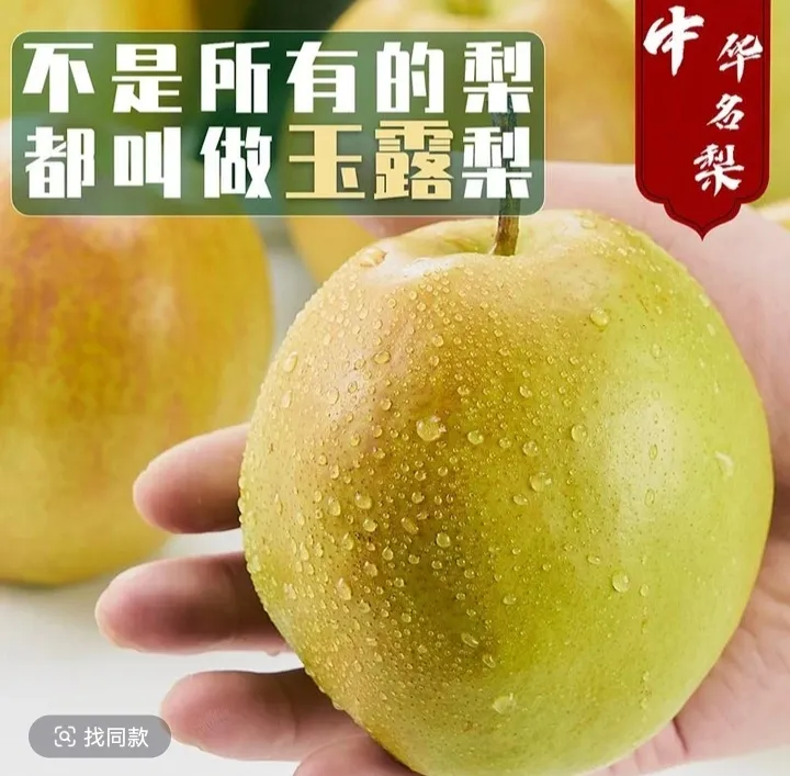 太行山玉露香梨现摘现发原产地直发应季新鲜水果坏果包赔