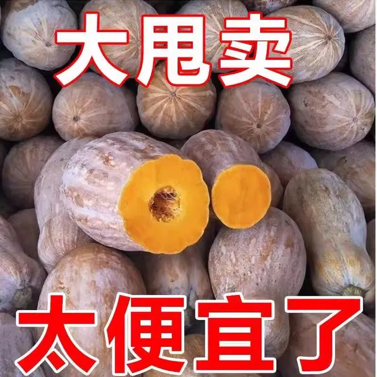 云南正宗蜜本老南瓜农家自种甜糯可口当季新鲜蔬菜软糯香甜5斤9斤