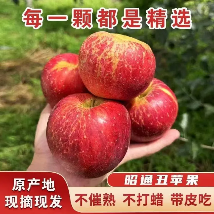 云南昭通丑苹果产地直发红富士当季新鲜水果维生素c水果