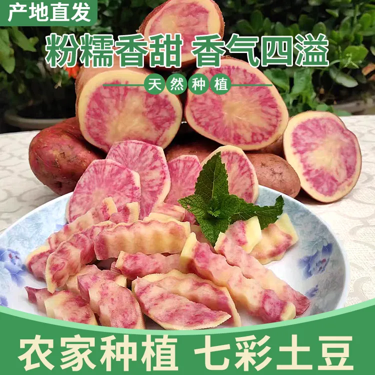 云南七彩土豆花心土豆花心洋芋红心土豆七彩洋芋马铃薯农家肥种植