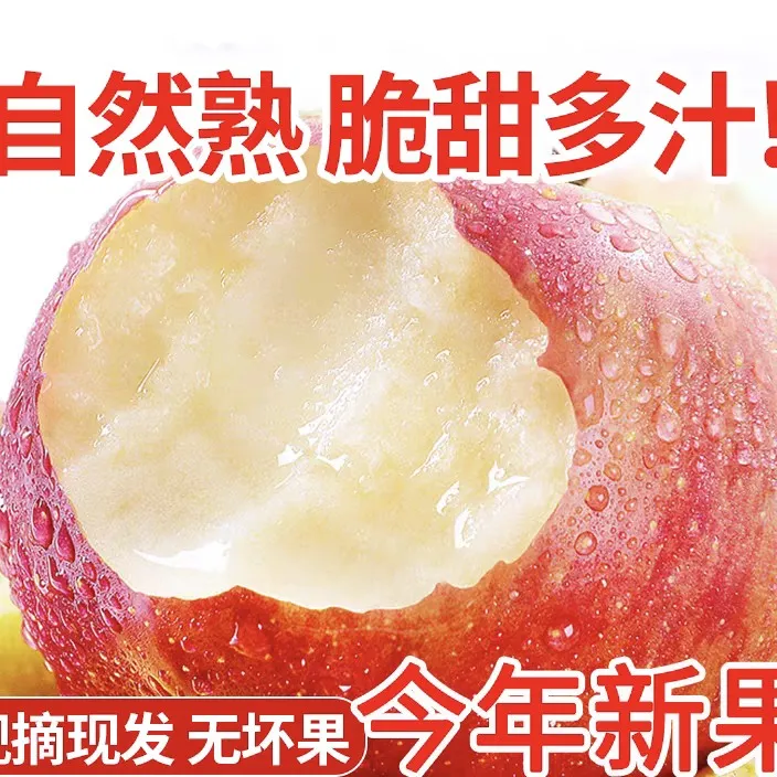 甘肃当季红富士苹果新鲜现摘脆甜多汁整箱（24个）11斤包邮
