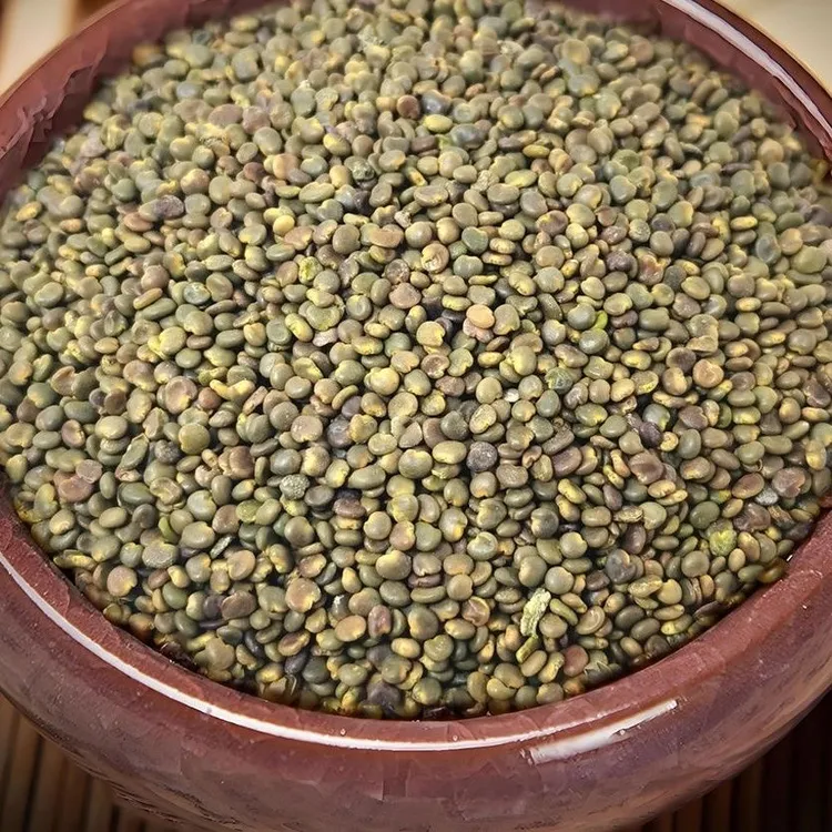 陕西沙苑子搭配小丝子枸杞泡水茶饮