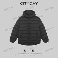 City Day【灰叔】复古-排骨新中式盘扣90白鸭绒保暖羽绒服 990133