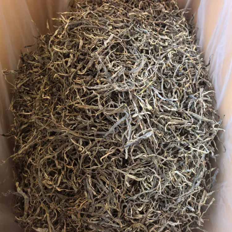 勐宋糯香茶（古树春茶）