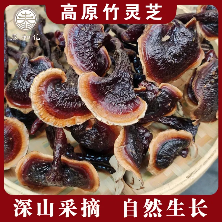 【助农山货】云南竹灵芝 高原自然生长竹灵芝 煲汤煮茶营养滋补