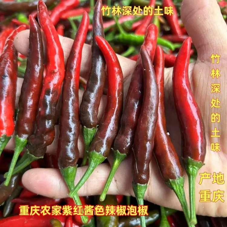 新鲜紫红辣椒泡椒乌红朝天辣酱色小米辣重庆农家露天种植经久耐泡