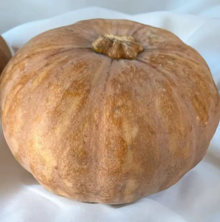 农家自种老南瓜新鲜粉糯香甜可作宝宝辅食4.5-5斤包邮