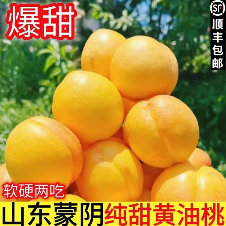 【顺丰包邮】山东蒙阴黄金油桃黄肉油桃5斤 现摘现发 脆甜爽口