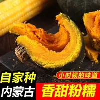 正宗贝贝南瓜美味香甜板栗味可作宝宝辅食