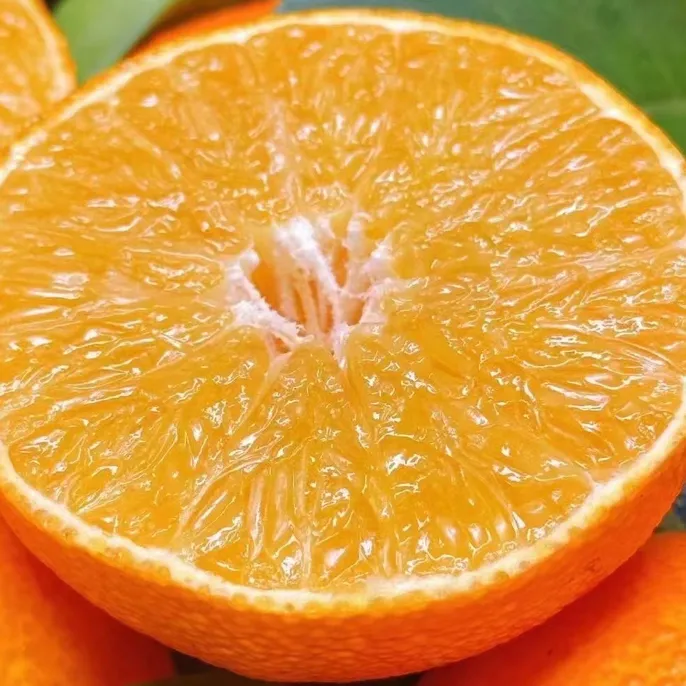 家庭装象山红美人鲜甜多汁美味可口