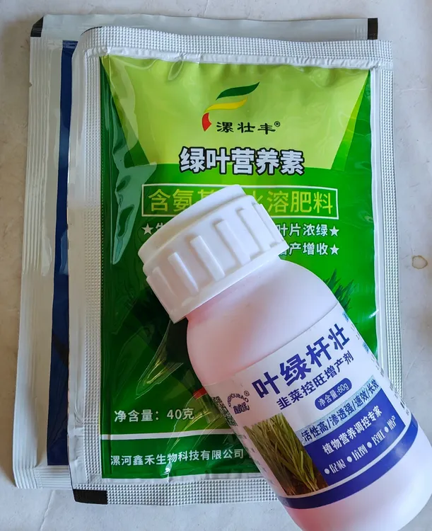 鑫收保韭菜大蒜专用叶绿杆壮直立硬朗肥增产套餐韭菜大蒜叶面肥