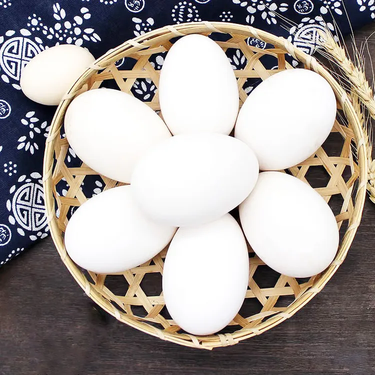 【坏蛋包赔】鹅蛋20枚新鲜散养农家土鹅蛋雁鹅蛋仔鹅蛋55