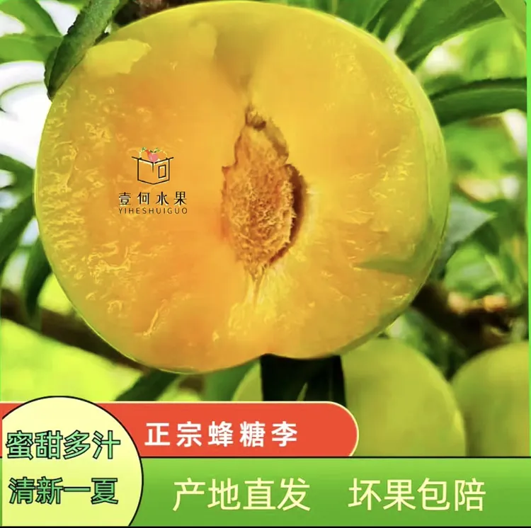 【壹何水果】贵州六马蜂糖李顺丰包邮产地直发欢迎下单选购