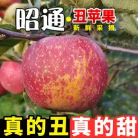 【超甜】正宗云南昭通丑苹果新鲜现摘脆甜多汁产地直发水果好吃AS