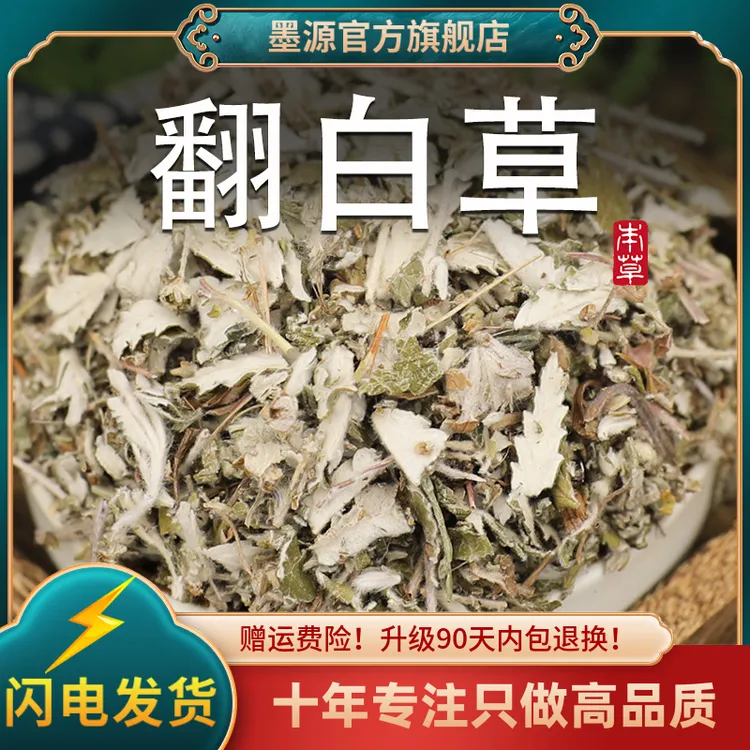翻白草中药非野生翻白草茶翻百草反白草新鲜干的功效可搭地骨皮茶