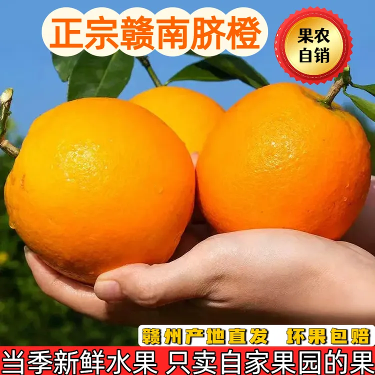 【红姐精选】江西正宗赣南脐橙新鲜产地直发橙皮薄肉厚孕妇老人包邮