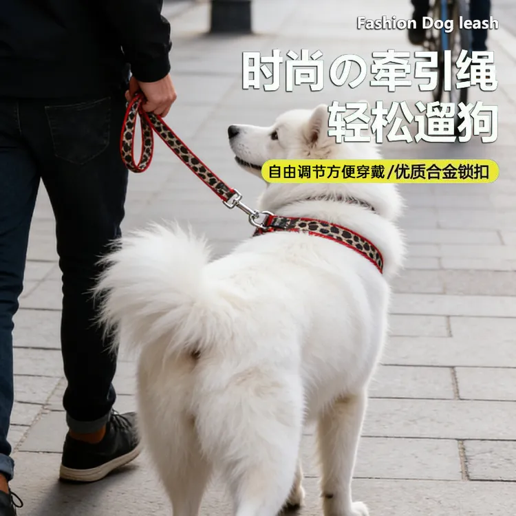 狗狗项圈全套可调节防勒脖外出遛狗专用狗绳p绳牵引绳狗绳牵引绳