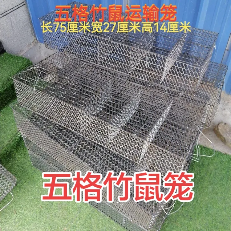 五格竹鼠运输笼 商品鼠笼 铁笼 