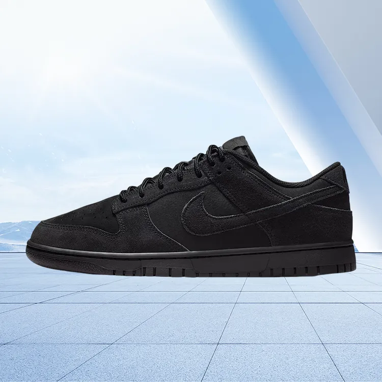 NIKE耐克男鞋NIKE DUNK LOW RETRO SE时尚百搭休闲鞋IB6651-001