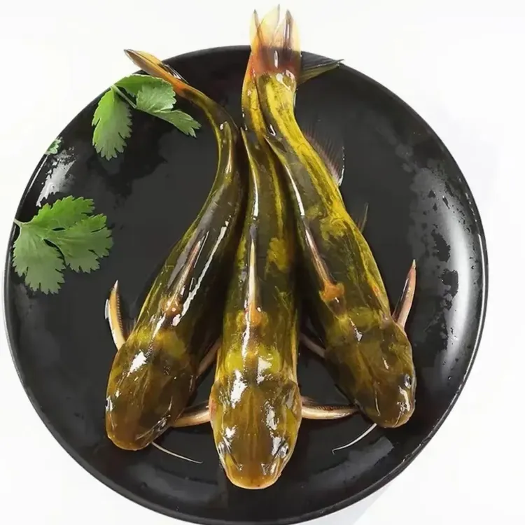 东北嘎牙鱼/6斤顺丰冷链包邮
