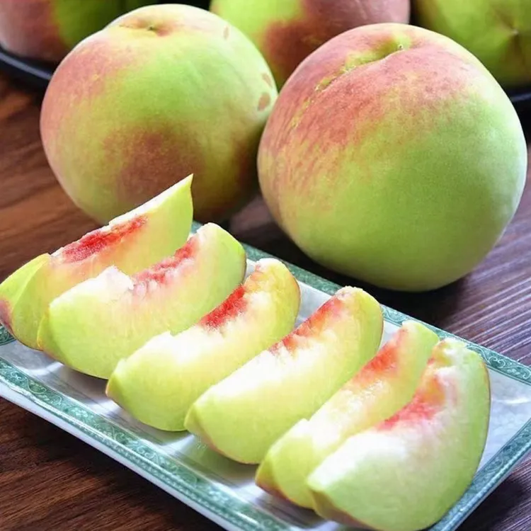 【顺丰快递】山东青州脆蜜桃冬桃新鲜现摘脆桃红心应季水果产地直发