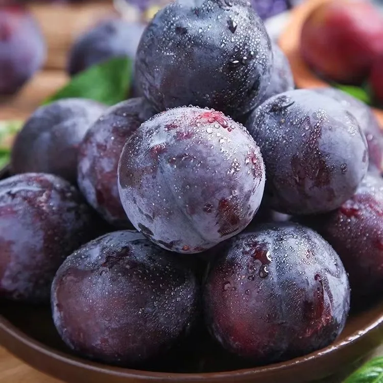 春节礼品黑布林大李子冷库黑宝石李头茬李子黑布朗鲜果团购福利
