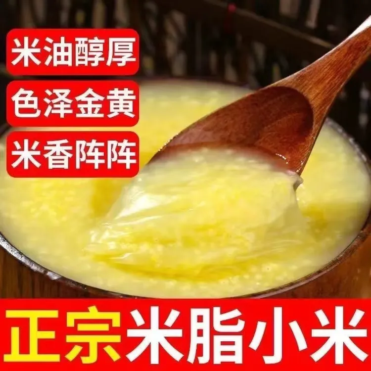 沂蒙山农家小米月子油小米养胃糯小米老人膳食食用营养