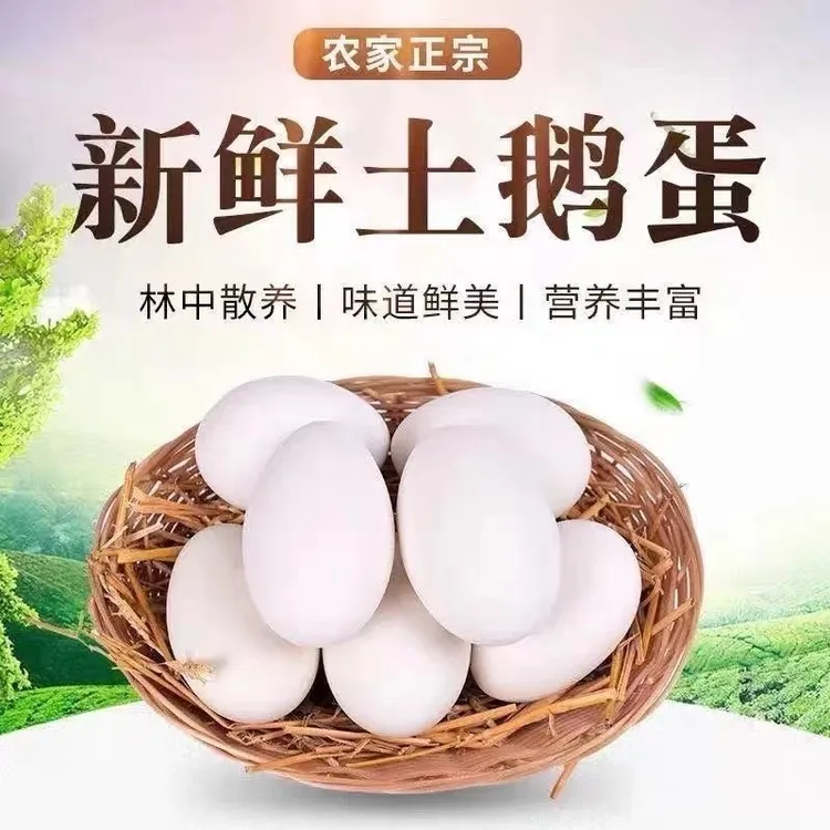 顺丰包邮新鲜鹅蛋孕妇农家散养土鹅蛋正宗特产现捡大个生鹅蛋精品