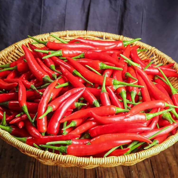 辣椒云南新鲜现摘丘北红辣椒小米辣朝天椒辣椒炒菜尖椒调味辣椒