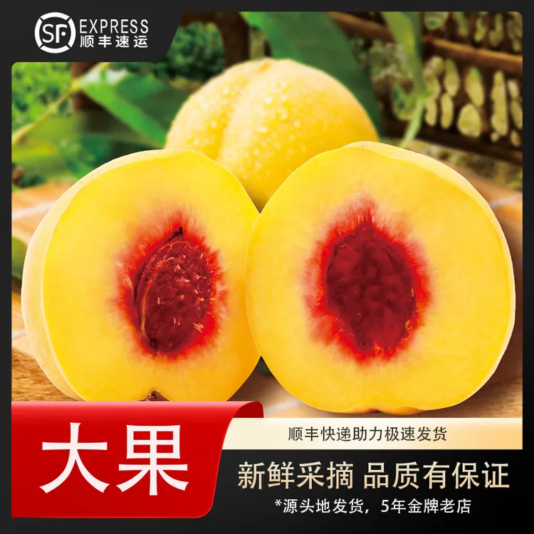 炎陵黄桃湖南炎陵高山黄桃一级果大果精品装 水果生鲜美味