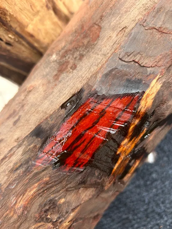 1.5印度小叶紫檀定制款小叶紫檀