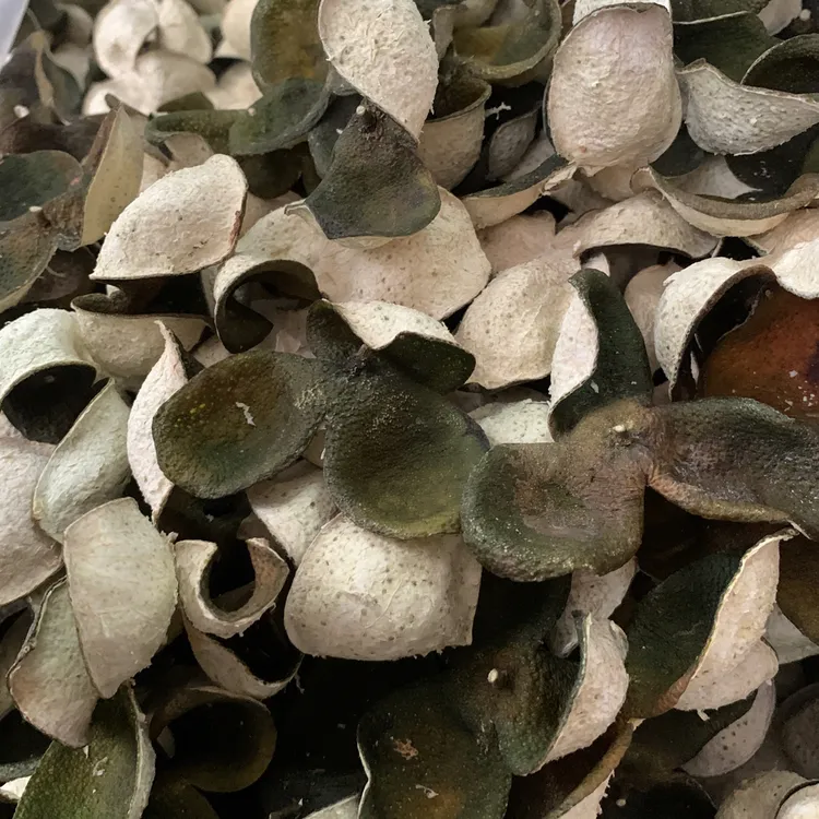 2025年小青皮 生晒 茶枝柑陈皮