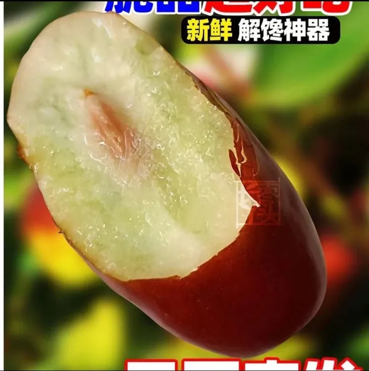 【顺丰包邮】正宗 灵武长红枣新鲜采摘鲜枣脆枣大枣甜枣