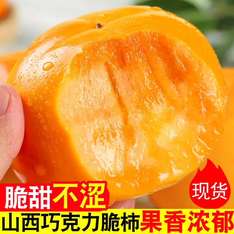 山西巧克力脆柿3-9斤新鲜水果当季大脆甜冰糖心火晶柿子阳丰生吃