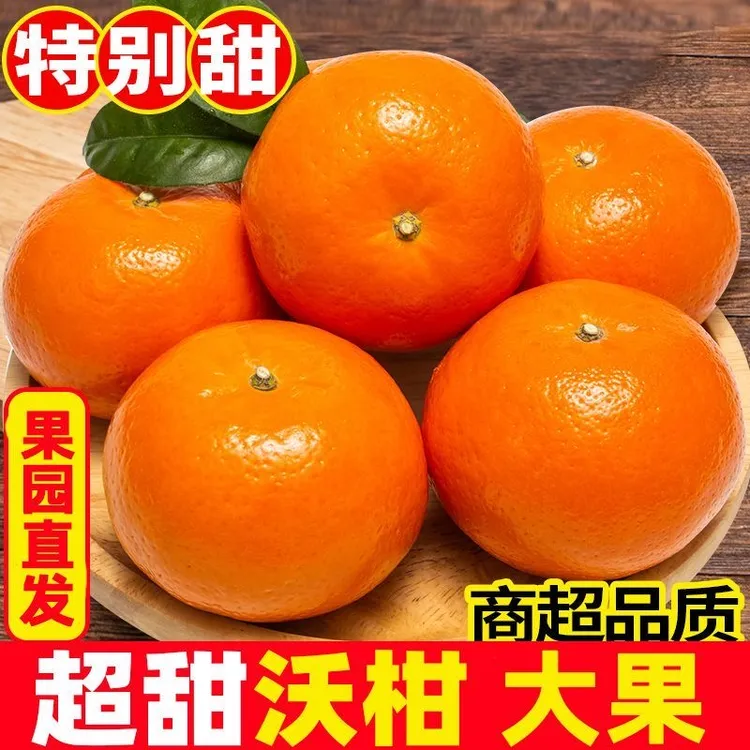 【头茬鲜果】武鸣沃柑当季新鲜采摘正宗沃柑多汁爽口甜蜜水果橘子