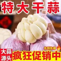 正宗紫皮大瓣蒜干蒜辛辣十足个大饱满as