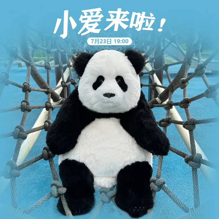 Pandas Hug官方六月小爱高仿真熊猫玩偶毛绒玩具公仔小熊礼物
