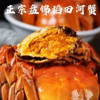 【活蟹】盘锦河蟹母蟹1-1.3两*18只 正宗稻田蟹顺丰包邮产地直发