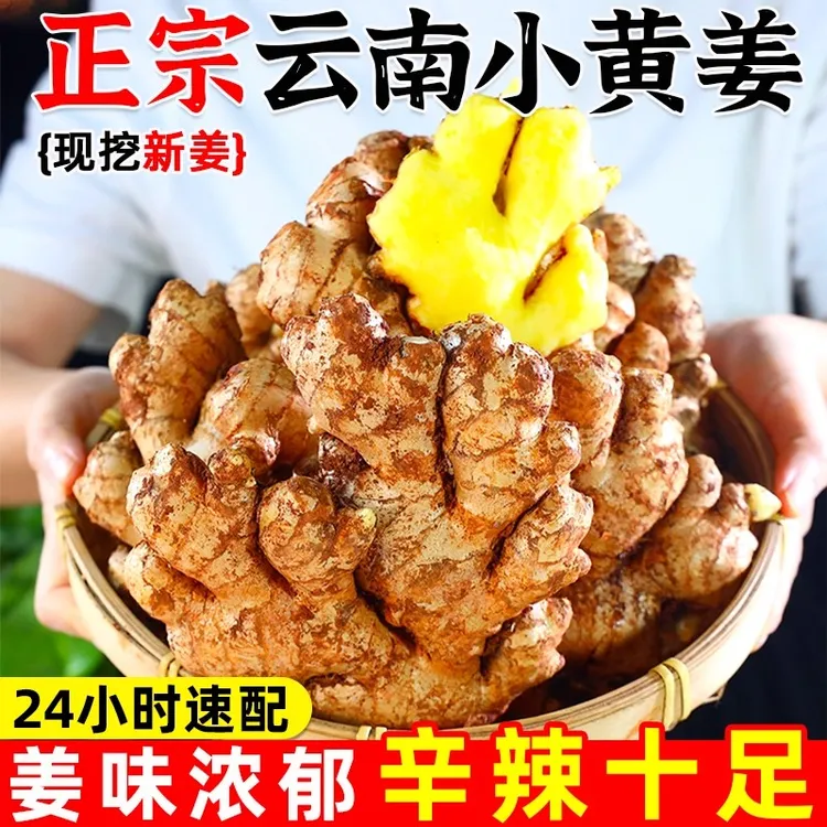 云南小黄姜9斤新鲜生姜老姜高山沙姜土姜非现挖月子孕妇种子蔬菜