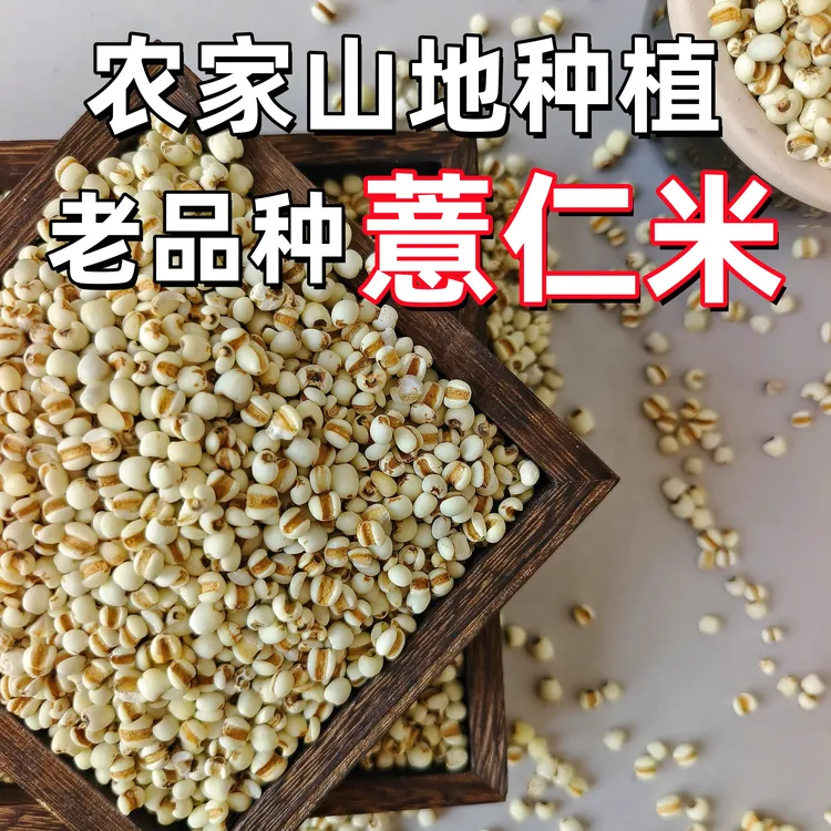 【25年新薏米】赤小豆薏仁米天然营养健康精选薏米粥粗粮杂粮煮水