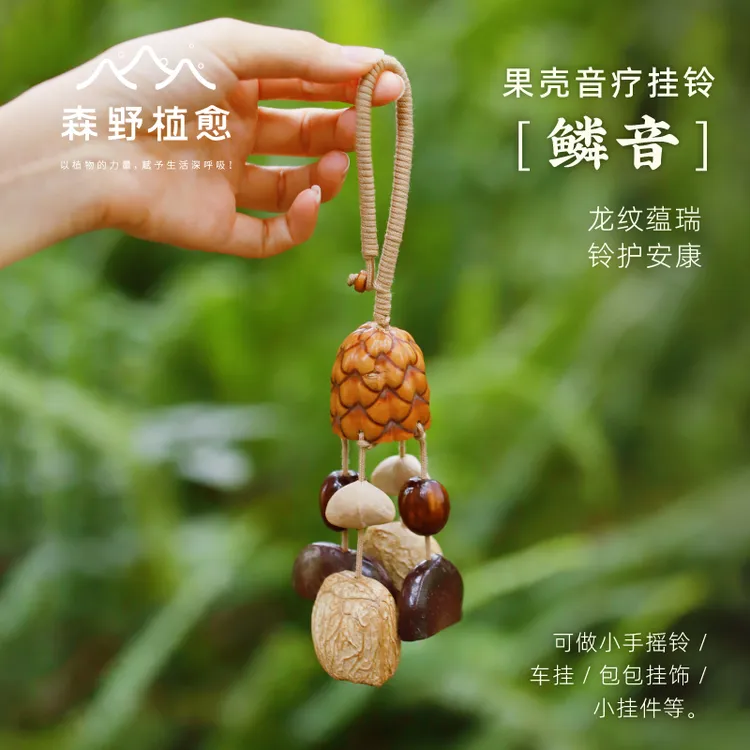 果壳小挂件挂铃 果壳包挂种子果壳风铃装饰挂件配饰背包汽车挂件