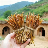 野生黄花菜｜正在晾晒中～暂且没货 （梅）